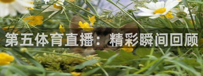 新闻图片