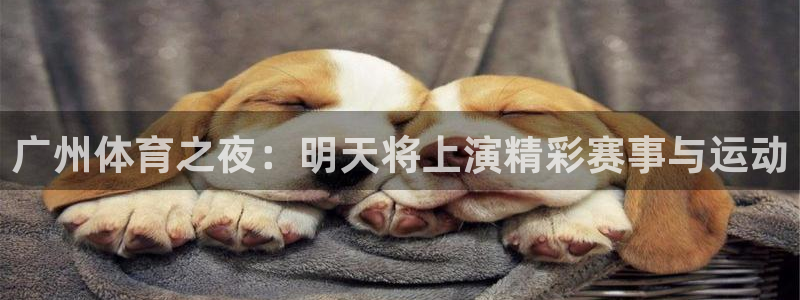 广州体育之夜：明天将上演精彩赛事与运动
