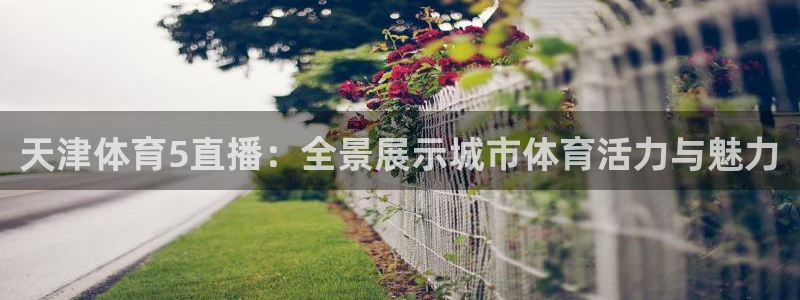 天津体育5直播：全景展示城市体育活力与魅力