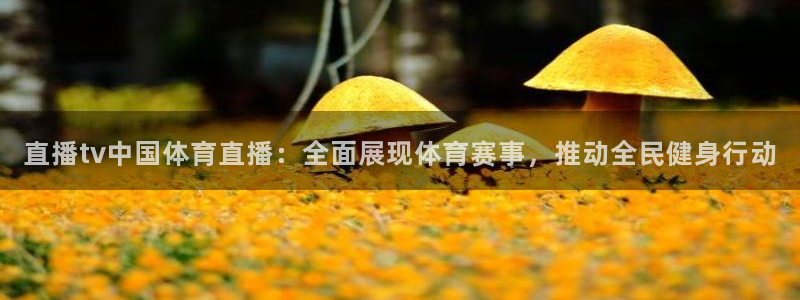 直播tv中国体育直播：全面展现体育赛事，推动全民健身行动