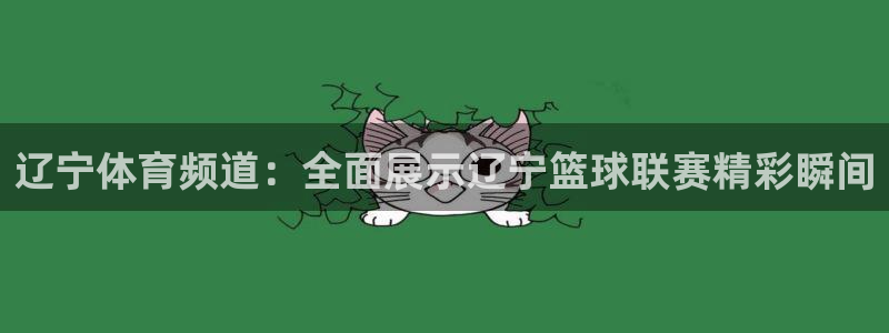 辽宁体育频道：全面展示辽宁篮球联赛精彩瞬间